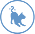 um ícone de gato ativo