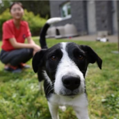 Um cachorro do lado de fora ao lado de uma menina
